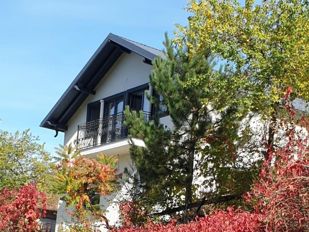 Hotel Casa Pe Vale Rîşnov Exterior foto
