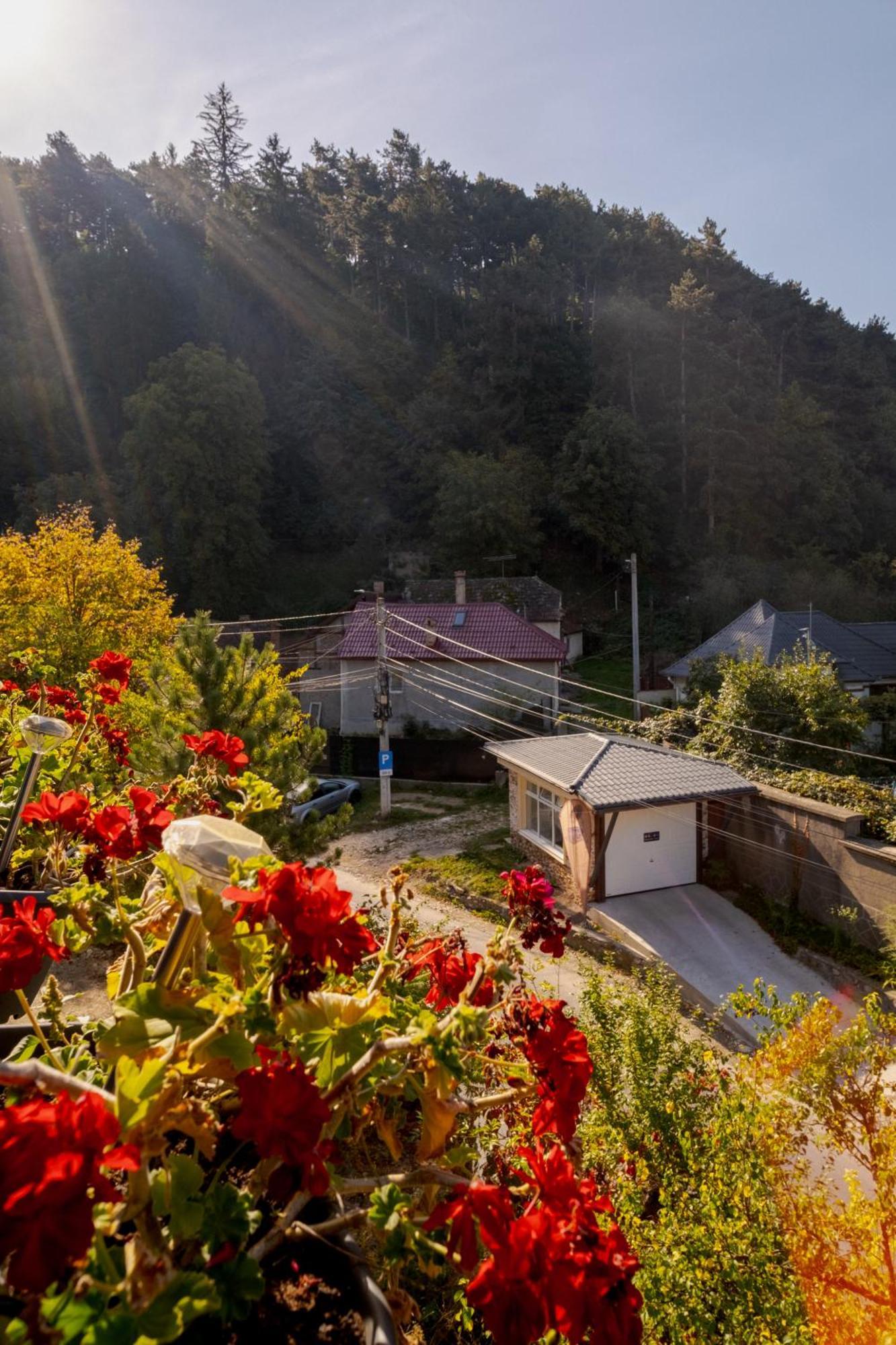 Hotel Casa Pe Vale Rîşnov Exterior foto